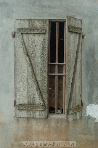 Window of a typical Vietnamese rural building with cat, Ninh Binh
