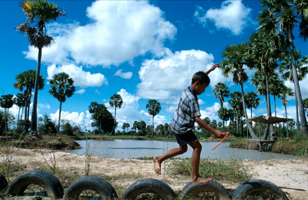Boy amidst the sugarpalm trees, Phnom Phen