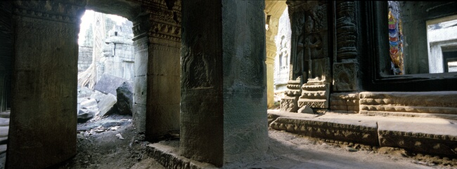Ta Prohm Temple, Angkor Temple Complex