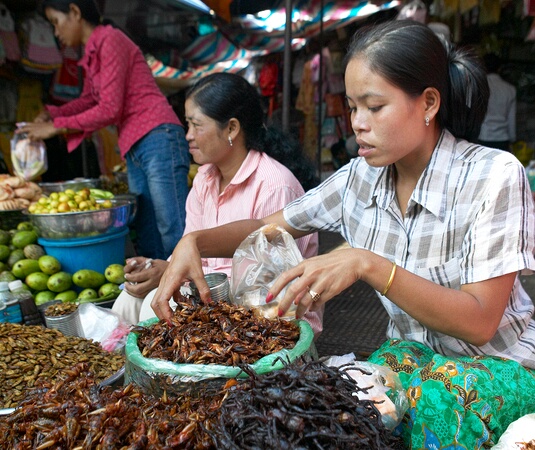 Selling fried spiders at Central Market, Phnom Penh, Cambodia