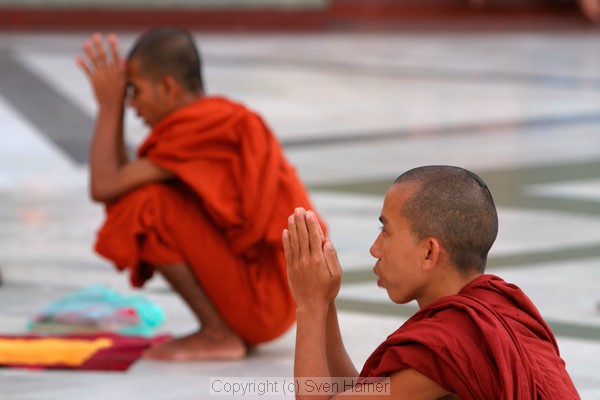 Praying Monks, Shwedagon Paya,Yangon