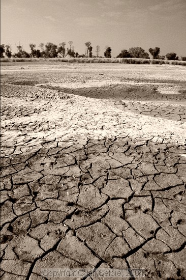 Further up the Ganges from Varanasi the water level is low, leaving dried cracked mud